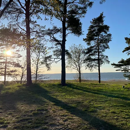 Na Skarpie - Wypoczynek Z Widokiem Na Zalew - *