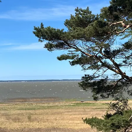 Na Skarpie - Wypoczynek Z Widokiem Na Zalew - * Frombork