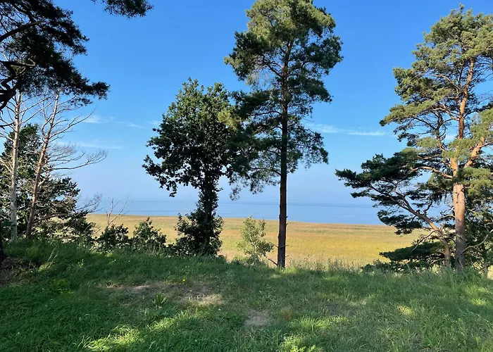 Na Skarpie - Wypoczynek Z Widokiem Na Zalew - Дом отдыха Фромборк