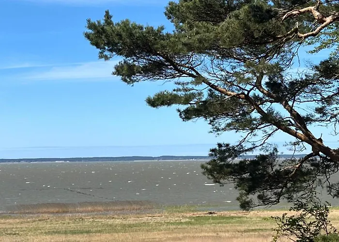 Na Skarpie - Wypoczynek Z Widokiem Na Zalew - * Фромборк